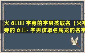 火 🐋 字旁的字男孩取名（火字旁的 🌷 字男孩取名属龙的名字）